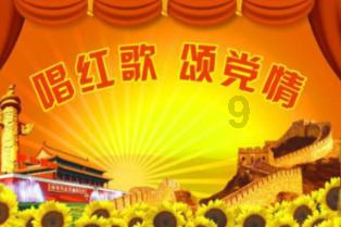 植物大战僵尸17